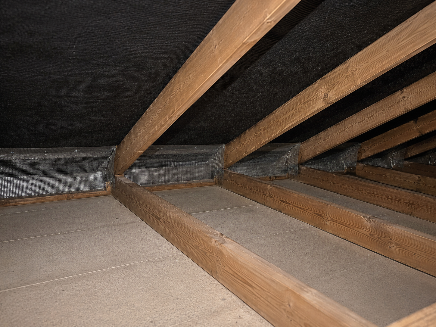 Rodent Proofing in Edinburgh